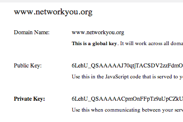 DNN Recaptcah Keys.png DNN Recaptcha Keys